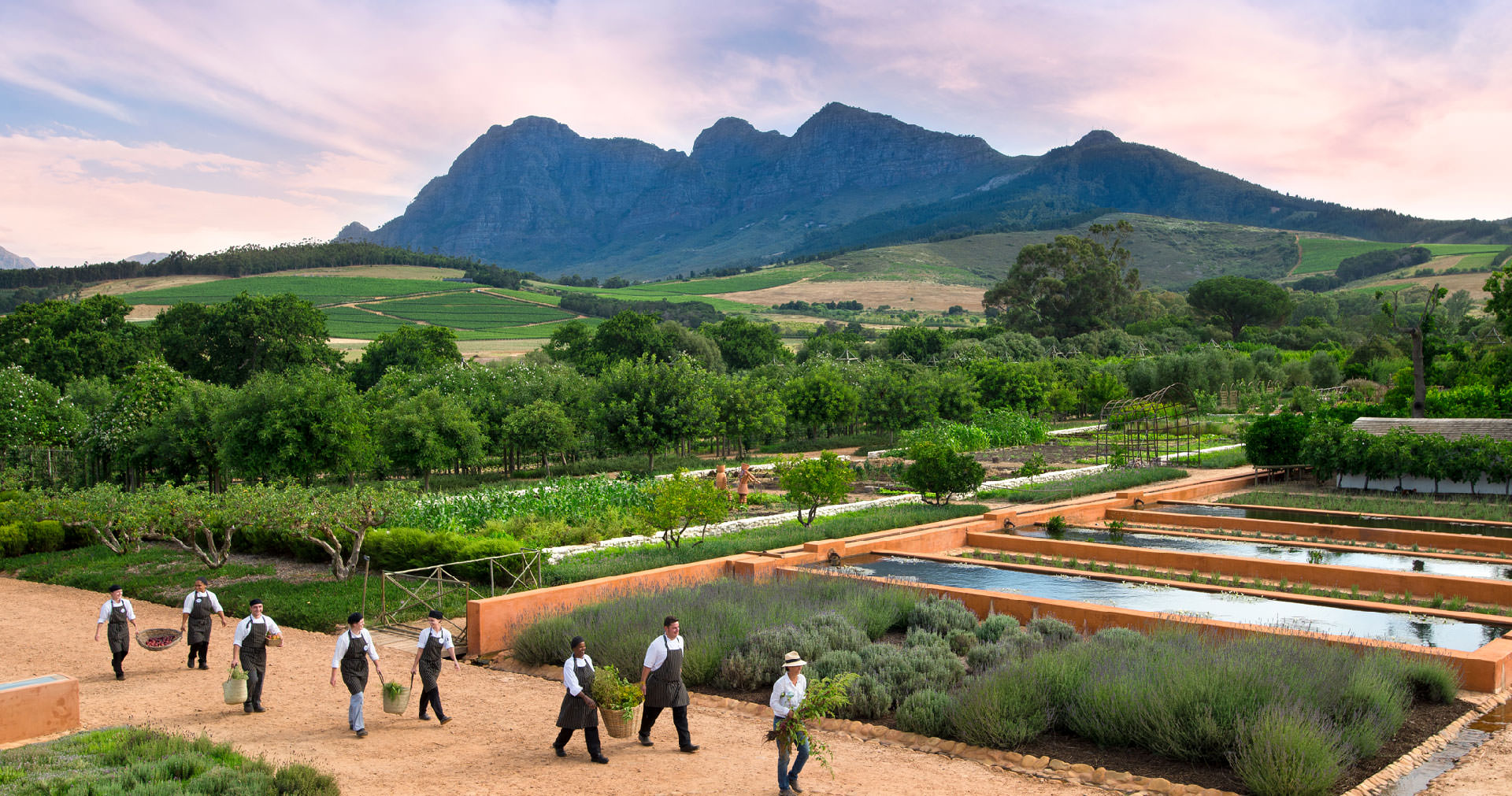 Chefs in the Garden at Babylonstoren, Western Cape
